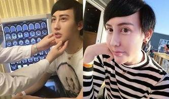 刘梓晨在线观看,揭秘网红背后的真实生活